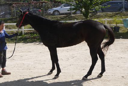 �θ������̵� ����