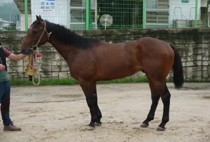 �¸��÷��� ����