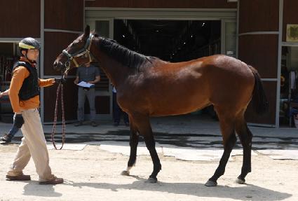 �ʿ������ ����