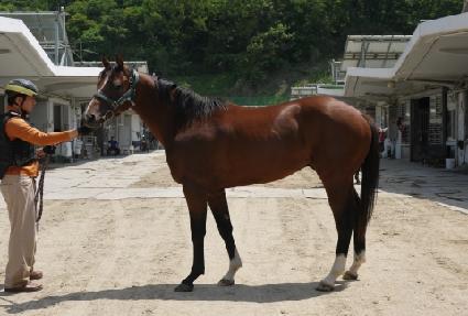 �ʿ����� ����