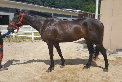 ���� ����