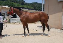 �ͽ������ú� (EXPRESSIVE) ����