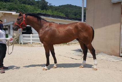 �ͽ������ú� ����