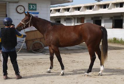 �۾ϰ��� ����