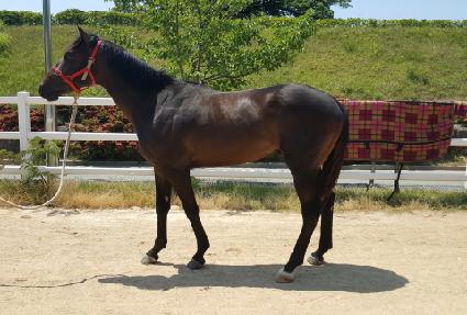 ������� ����