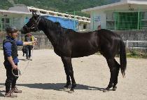 ī�����ε� (KAIZEN ROAD) ����