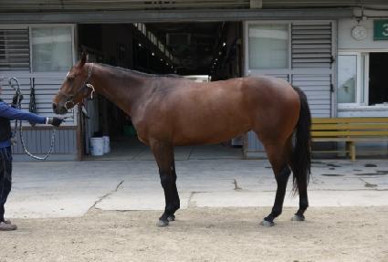 �Ž������� ����