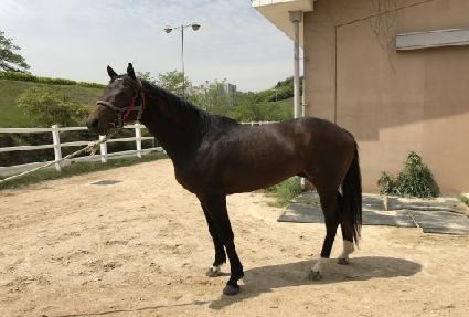 ������ũ ����