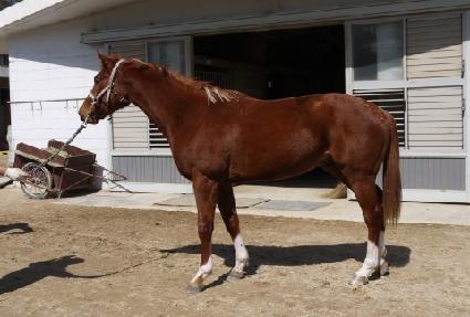 �Ǵн���Ʈ ����