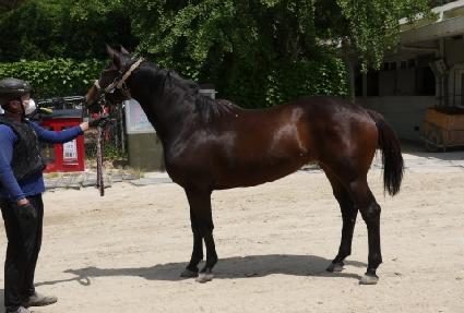 ���� ����