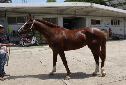 ��ī�� ����