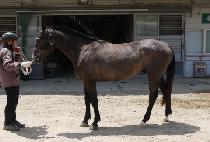 �밡�� (DAE GARAM) ����