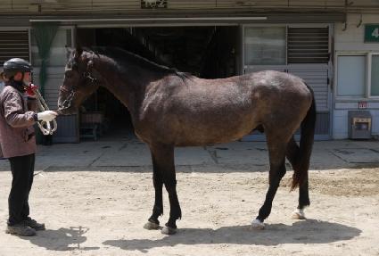 �밡�� ����