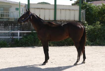 ���̳ν��� ����