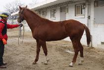 Ž������ (TAMNANEUN QUEEN) ����