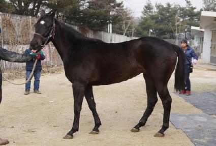 Ž���°��� ����