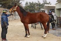 Ž���¿��� (TAMNANEUN YEOIN) ����