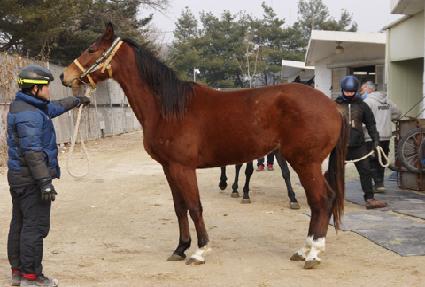 Ž���¿��� ����