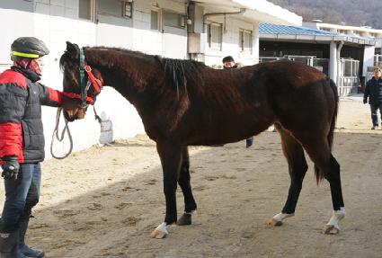 �޸���ȯ�� ����