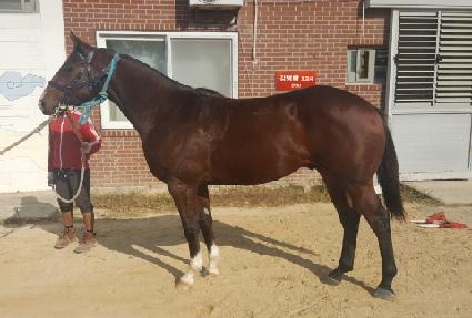 �������� ����