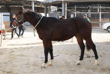 �޸������� ����