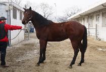 �޸��¿��� (DALLINEUN UNGJI) ����