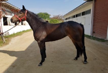 ���� ����