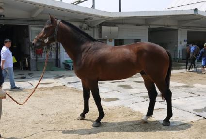 �ٶ�ŷ ����