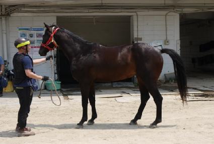 ������� ����