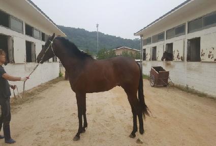 Ʈ���ýǹ� ����