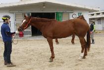 ������ (YEOWOORI) ����