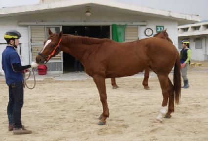 ������ ����