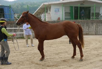 �������õ ����