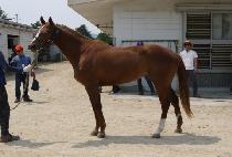 �ٸ��� (DAMON ANGEL) ����