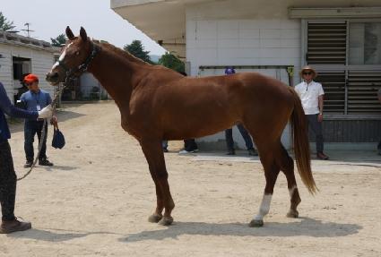 �ٸ��� ����