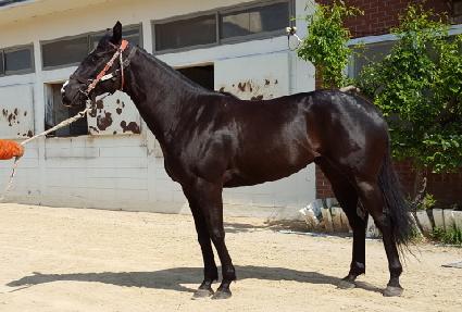 �强������ ����