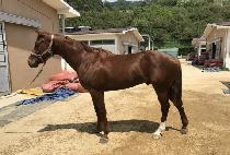 � (UNSEOK) ����