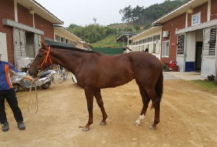 �ƴٸ����� ����