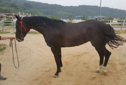 �ϳ� ����