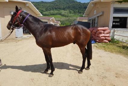 ���� ����