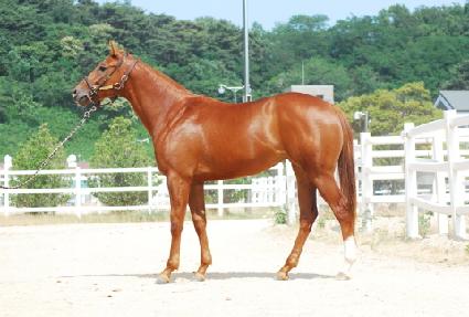 ����Ʈ��ũ ����