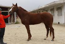 �۾��� (SONGAM JEUNE) ����