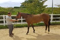 �ƶ󰡾����� (ARAGAYA JEONSEOL) ����