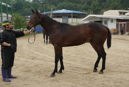 ����ȵ帲 ����