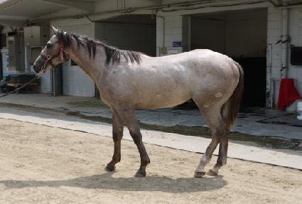 ���׽��� ����