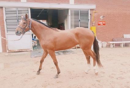 �뵿���� ����