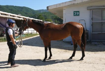 ����ĸƾ ����