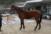 �¸��ٶ� (ONLY BARAM) ����