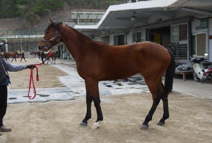 �¸��ٶ� ����