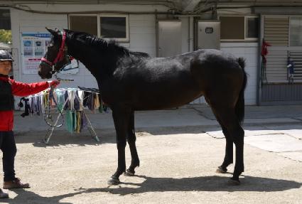 �������� ����